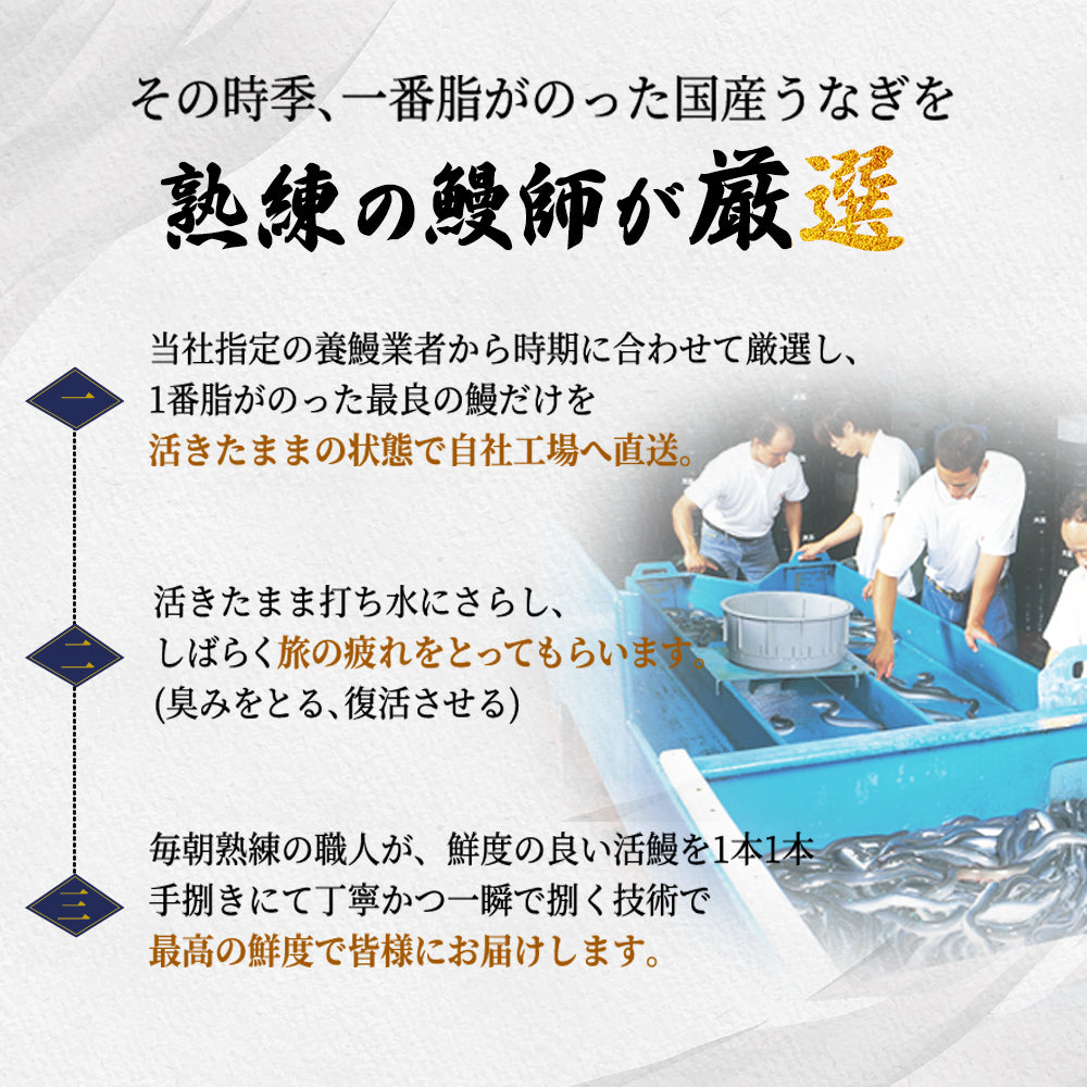 うなぎ長焼き 【4本セット】