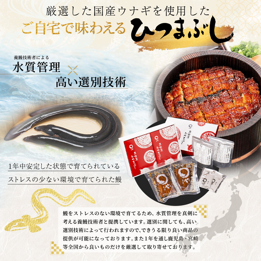 うなぎ白焼き 長焼き 紅白セット
