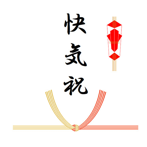 熨斗(結び切り/快気)